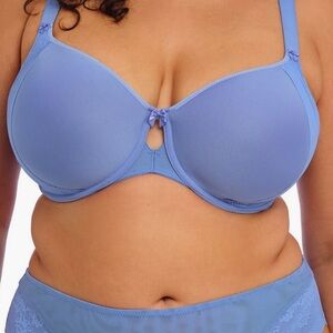 Elomi Nerina Molded cup bra 36HH